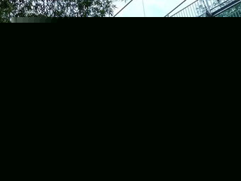 喜訊！我國自主研發的非洲豬瘟疫苗取得階段性成果！